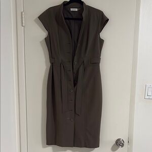 Elegant Brown Button-Down Dress